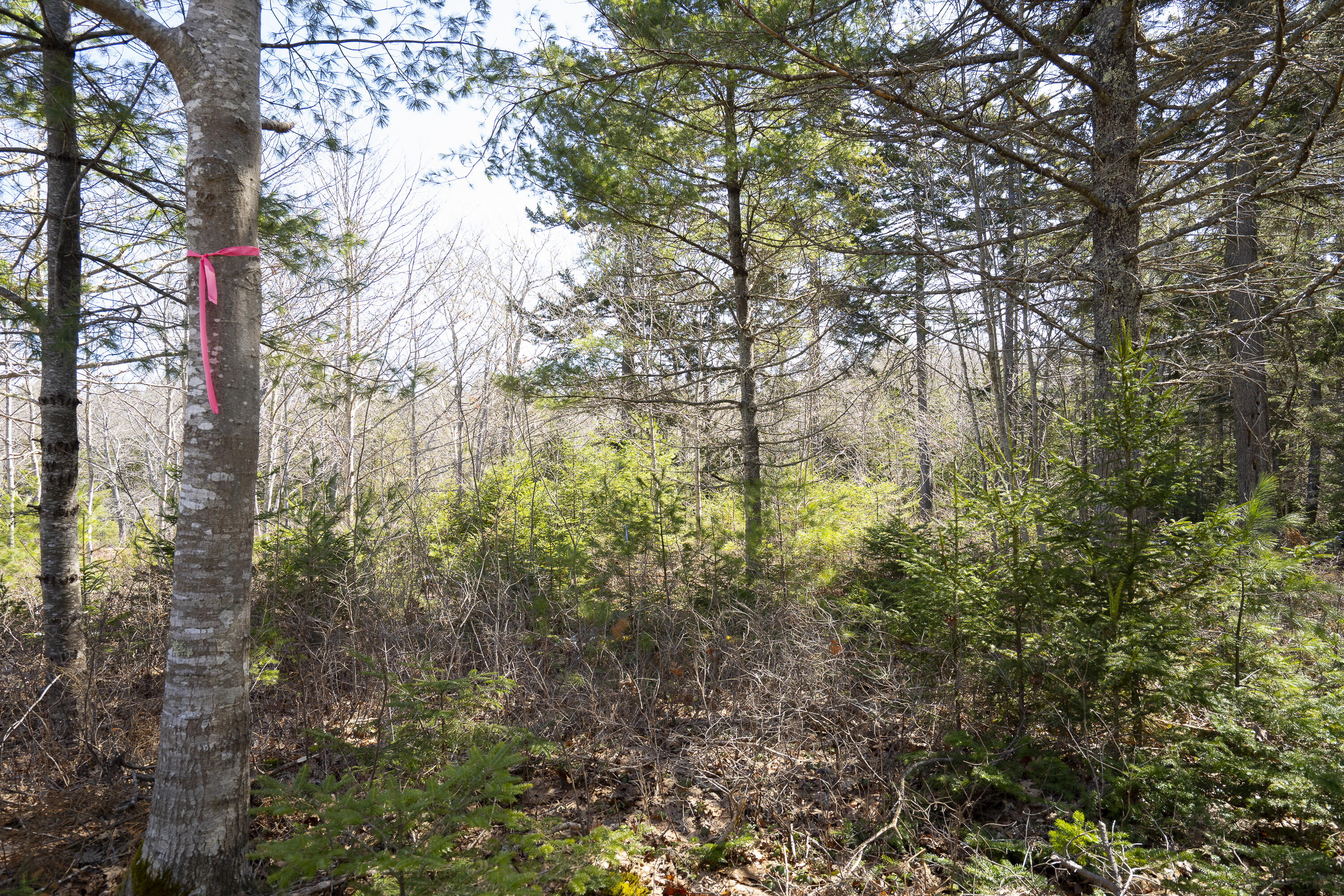 4-1 Cameron Point Road Southport, ME 04576 - Photo 6 of 11 5