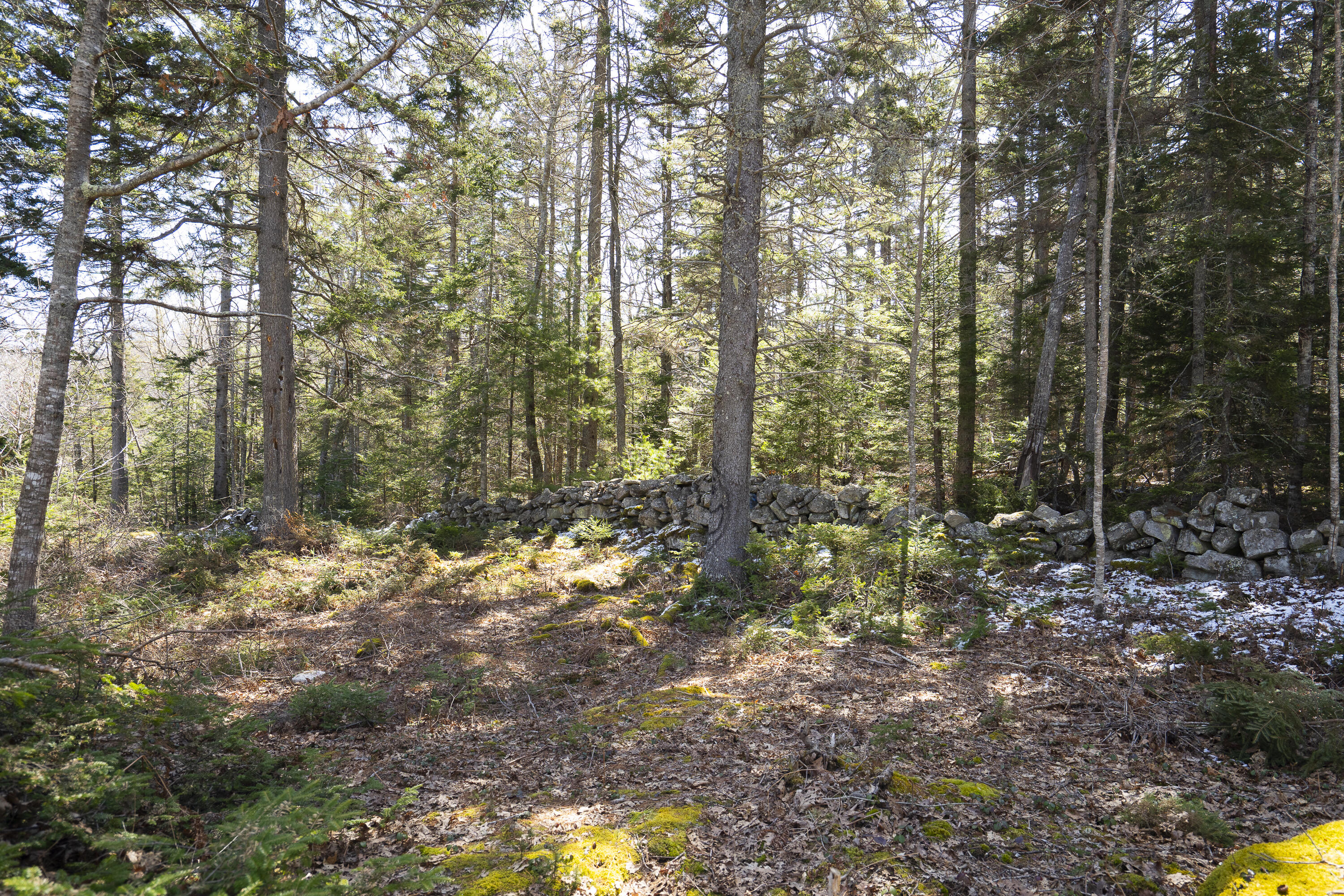 4-1 Cameron Point Road Southport, ME 04576 - Photo 7 of 11 6
