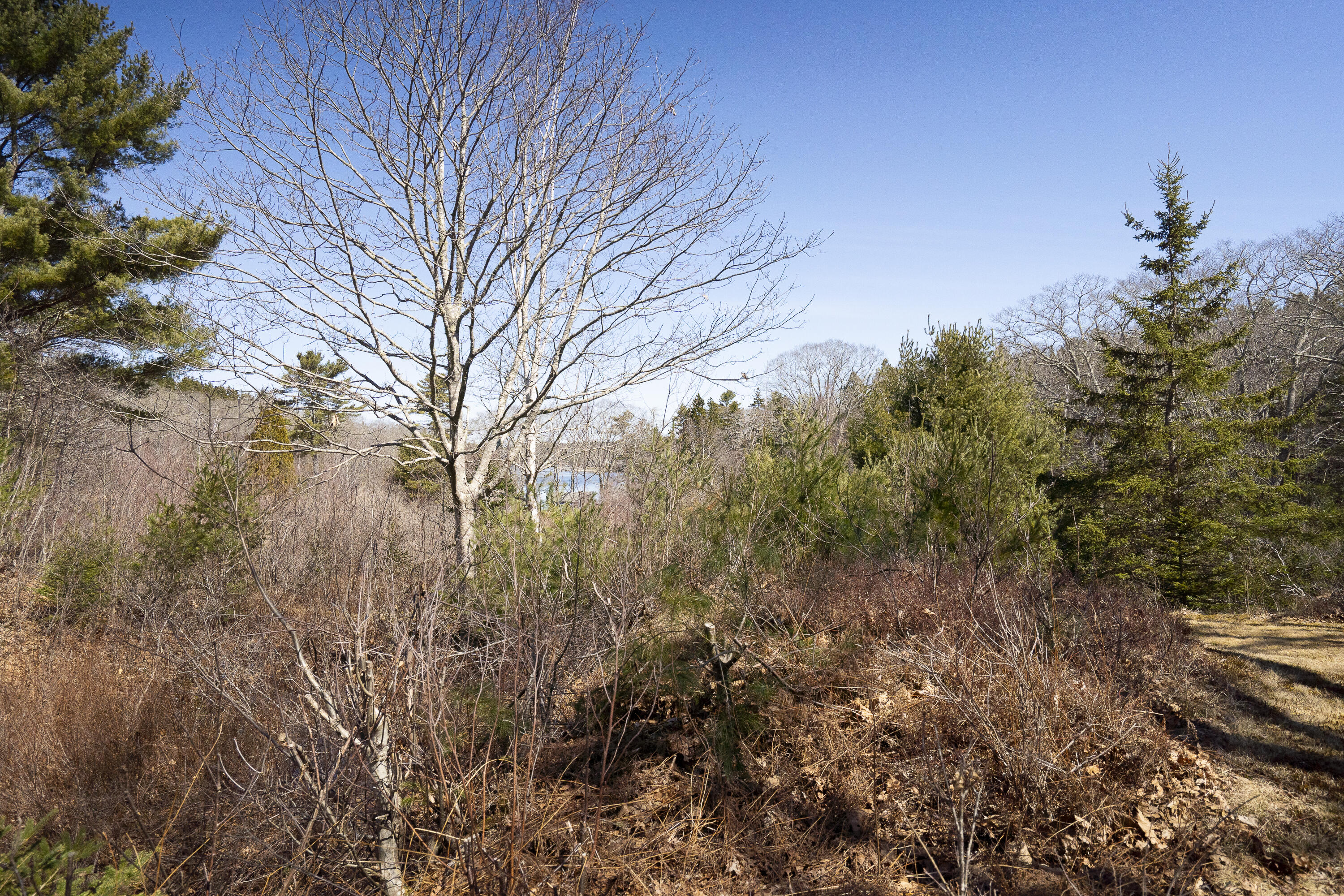 4-1 Cameron Point Road Southport, ME 04576 - Photo 9 of 11 8