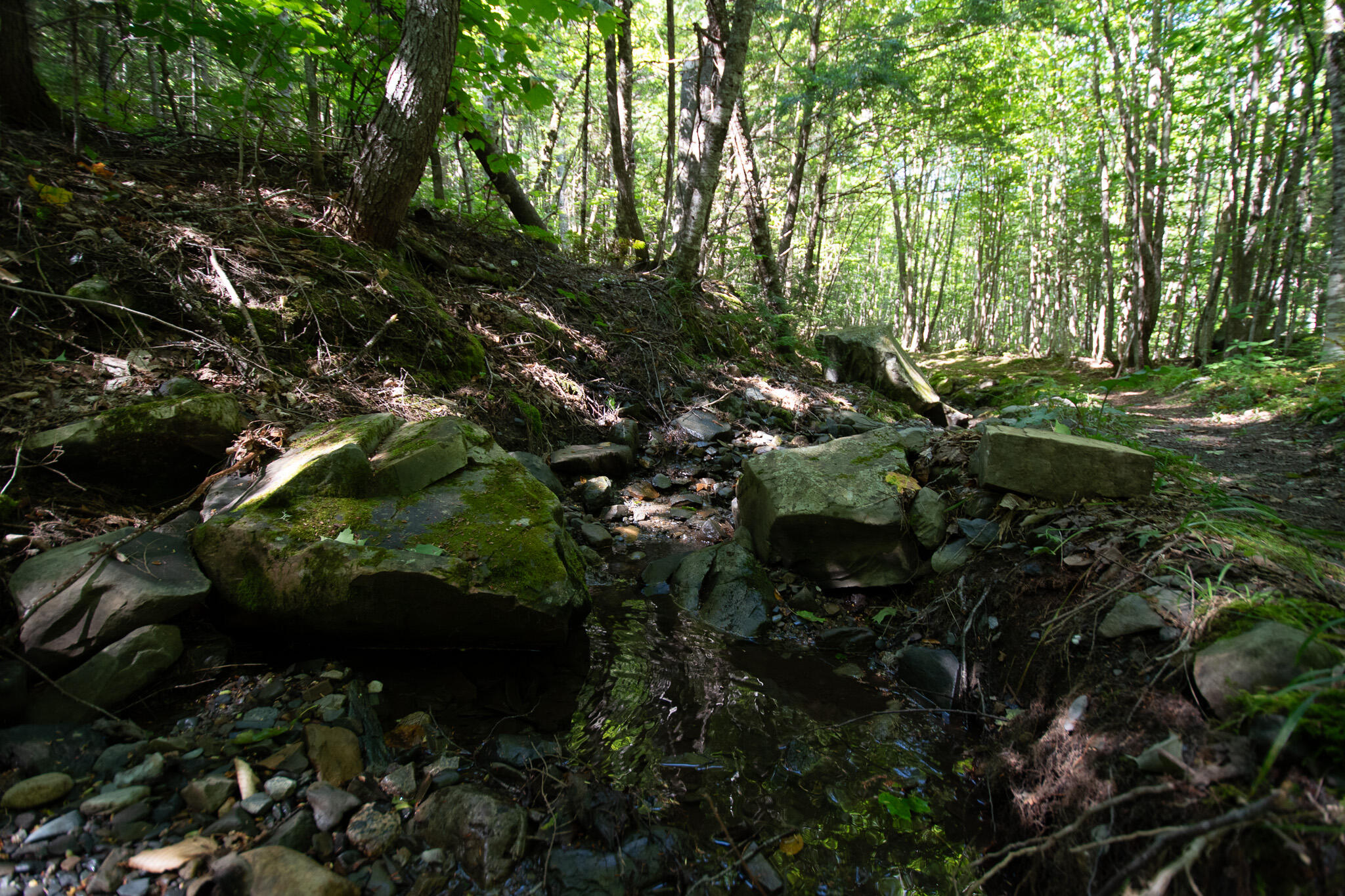 507 Mountain Road Abbot, ME 04406 - Photo 56 of 96 DSC_0433