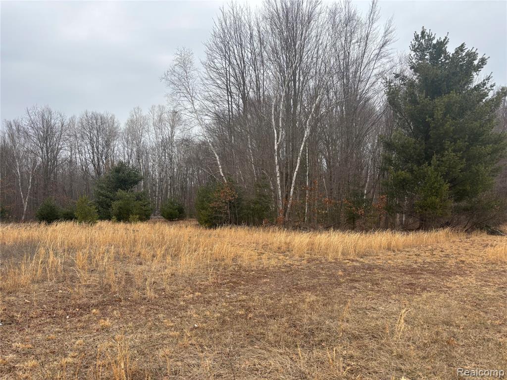 1904 Hay Road Beaverton, MI 48612 - Photo 20 of 32