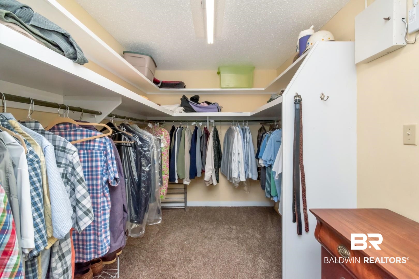 302 Springwood Drive East Mobile, AL 36608 - Photo 24 of 35 Walk in closet with carpet