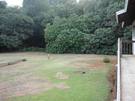 2875 Waa Road Lihue, HI 96766 - Photo 4 of 18 Gallery Image 4