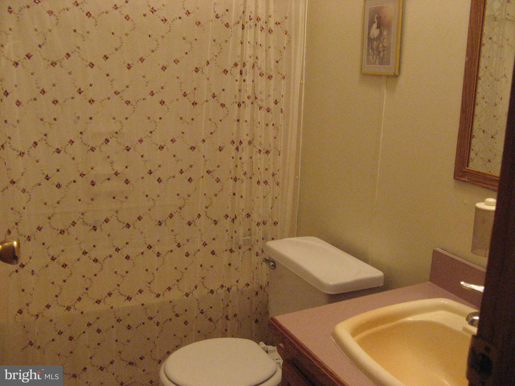 37037 Canvasback Road Selbyville, DE 19975 - Photo 15 of 39 Guest bath #1