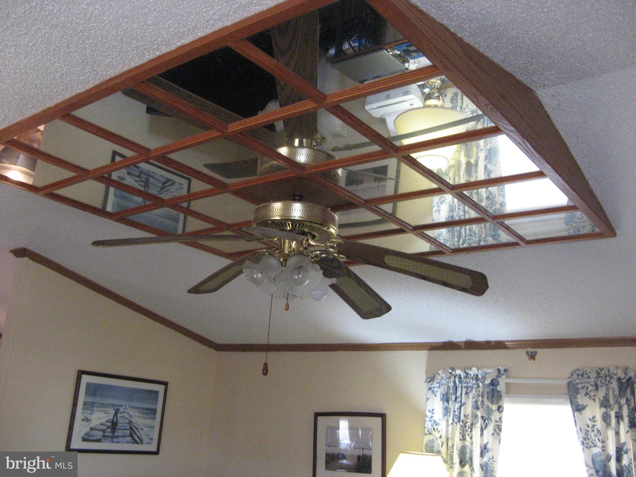 37037 Canvasback Road Selbyville, DE 19975 - Photo 33 of 39 Family room Fan