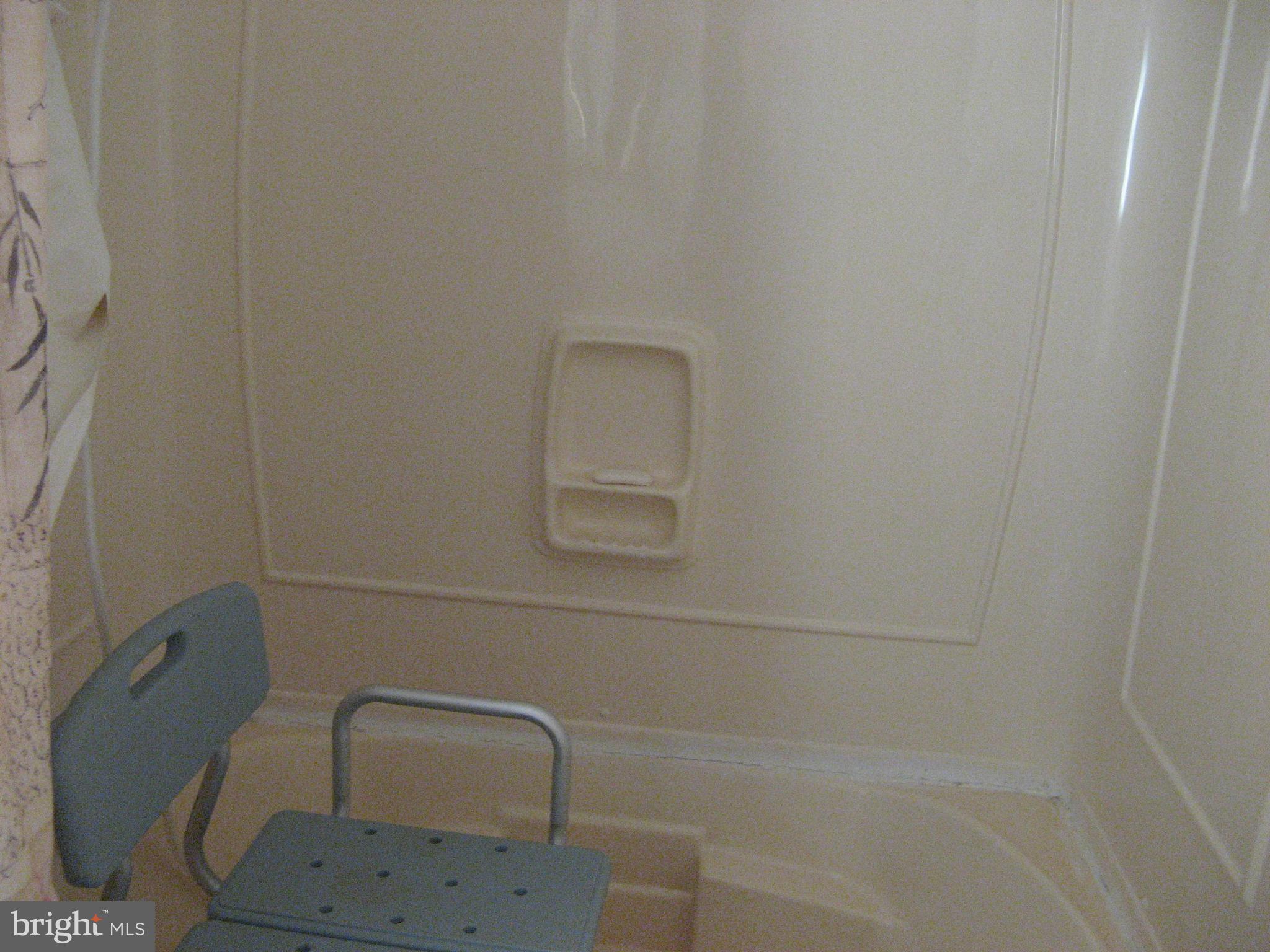 37037 Canvasback Road Selbyville, DE 19975 - Photo 9 of 39 Primary tub/shower