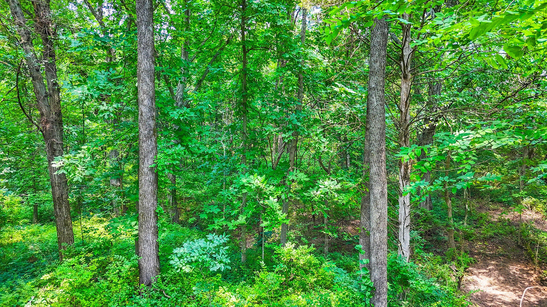 252 County Road Fulton, MO 65251 - Photo 11 of 11 Gallery Image 11