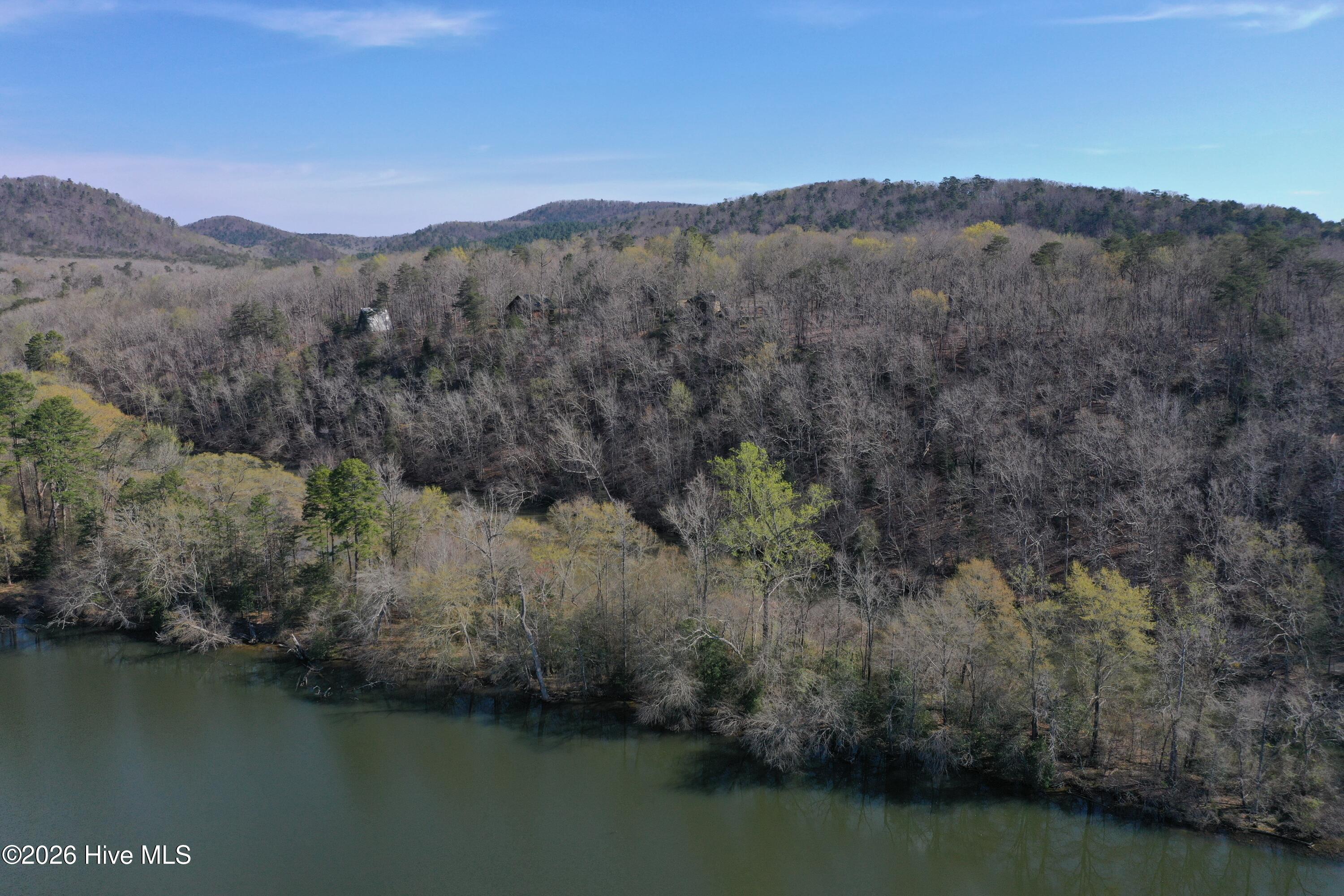 Tbd Haltiwanger Retreat Road Troy, NC 27371 - Photo 4 of 21