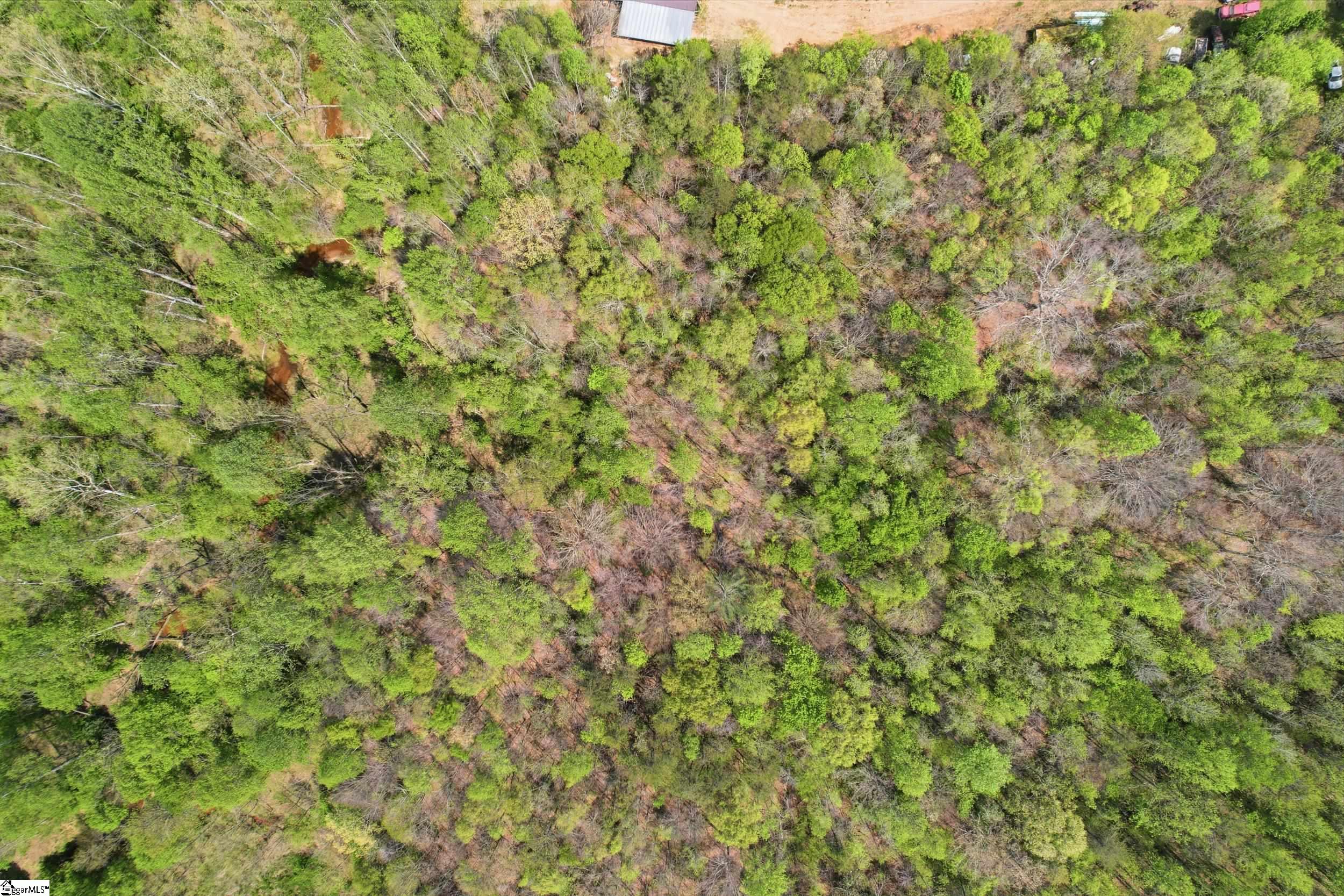 127 Clark Lane Easley, SC 29640 - Photo 26 of 29