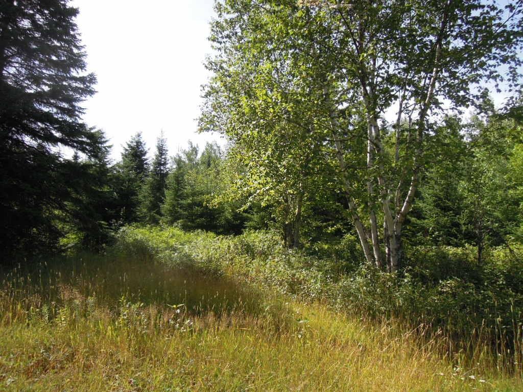 2 New Sweden Road New Sweden, ME 04762 - Photo 29 of 35 Photo