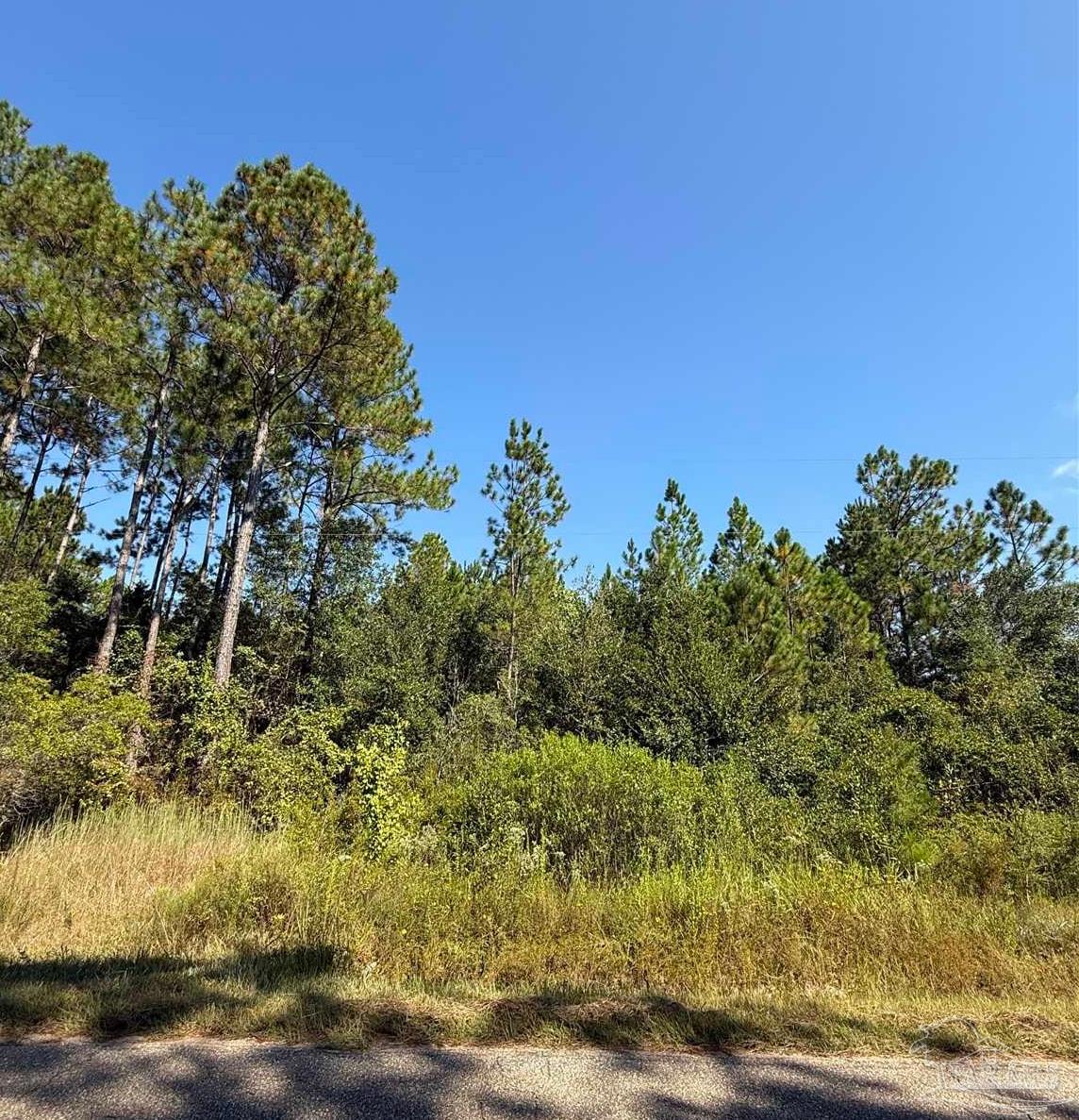 7924 Parker Road Milton, FL 32570 - Photo 3 of 5 Gallery Image 3