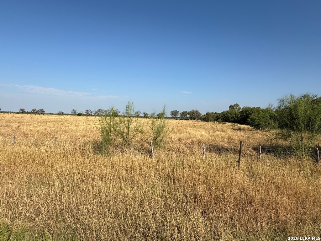 3232 Fm 1590 Quemado, TX 78877 - Photo 12 of 13