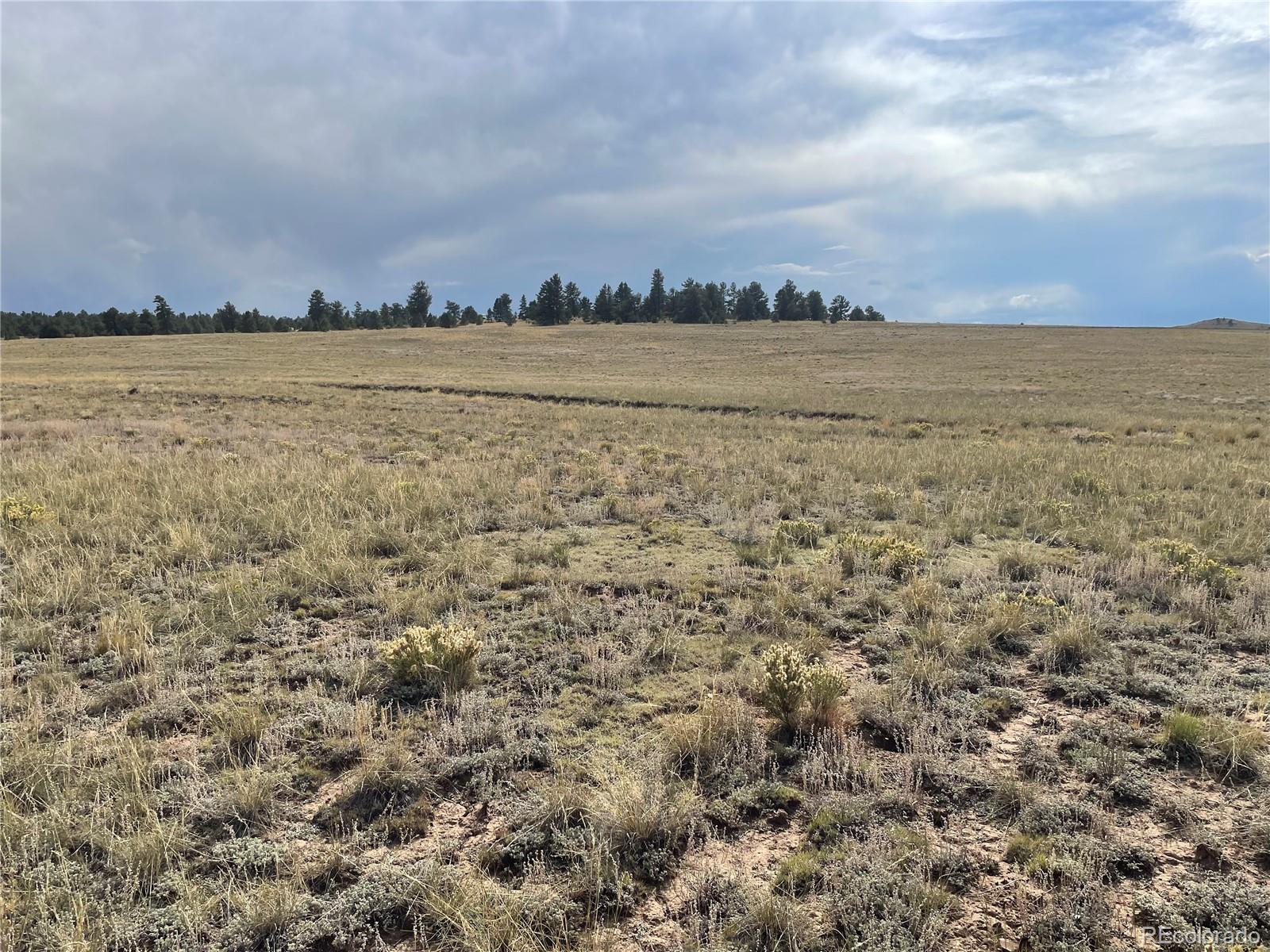 14171 Chickasaw Road Hartsel, CO 80449 - Photo 11 of 17