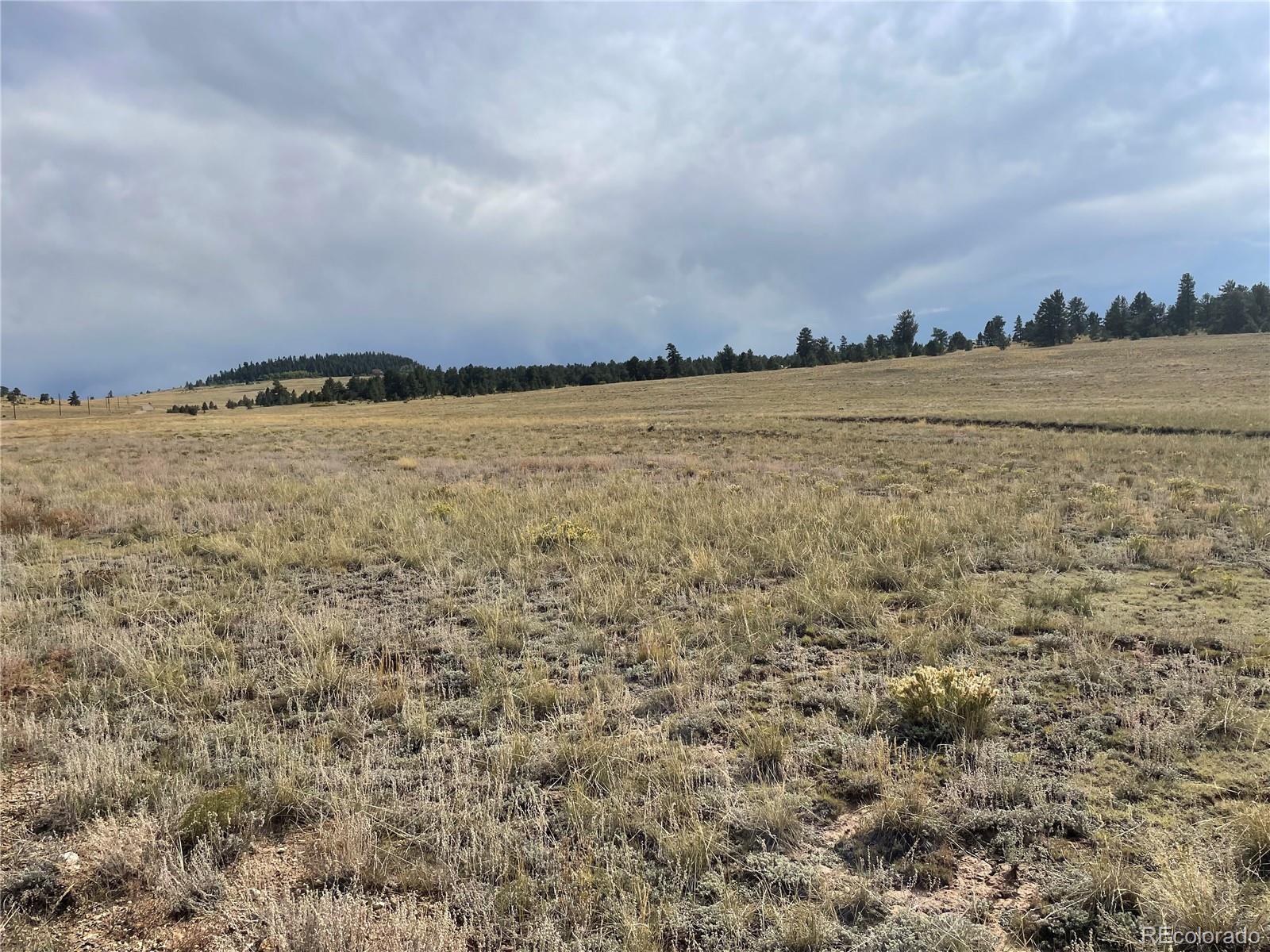 14171 Chickasaw Road Hartsel, CO 80449 - Photo 12 of 17