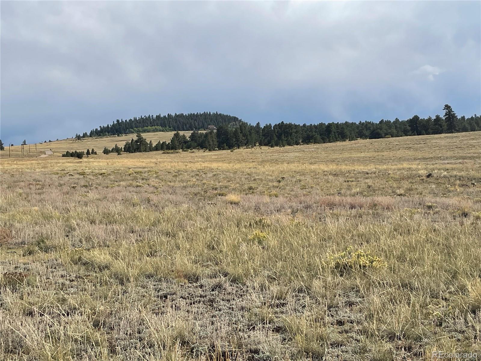 14171 Chickasaw Road Hartsel, CO 80449 - Photo 13 of 17