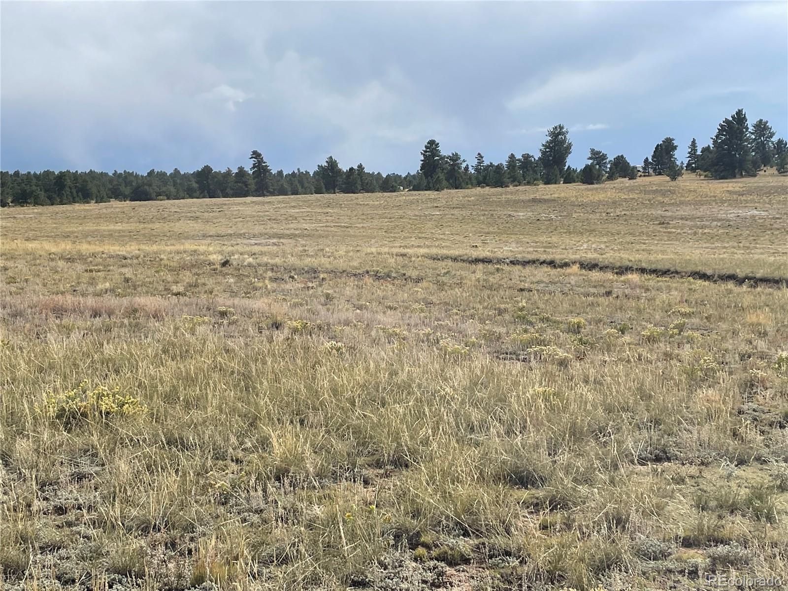 14171 Chickasaw Road Hartsel, CO 80449 - Photo 14 of 17