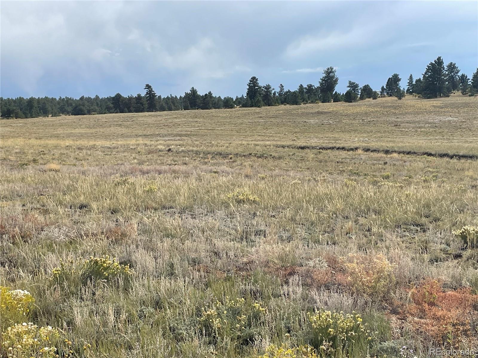 14171 Chickasaw Road Hartsel, CO 80449 - Photo 15 of 17