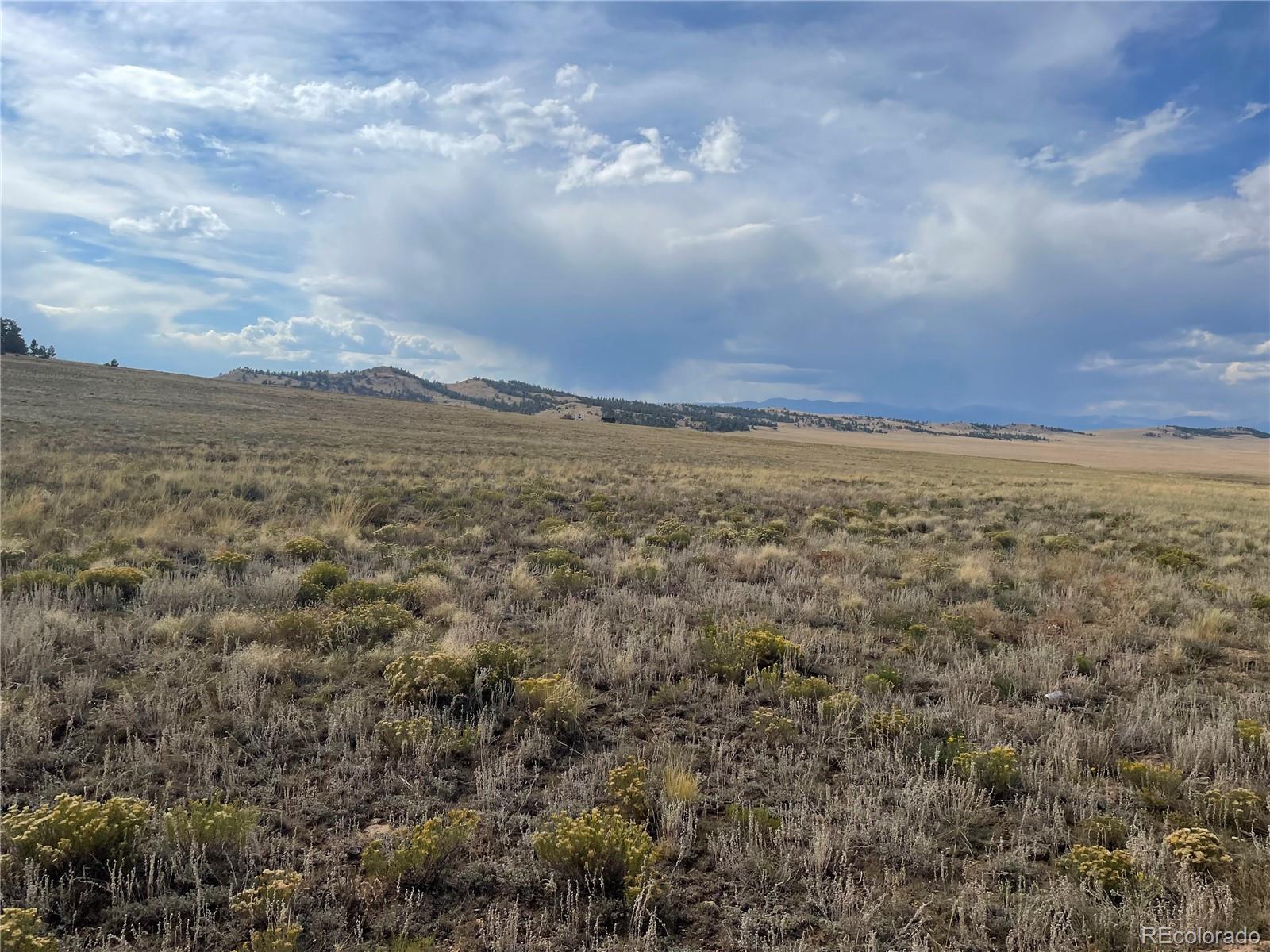 14171 Chickasaw Road Hartsel, CO 80449 - Photo 5 of 17