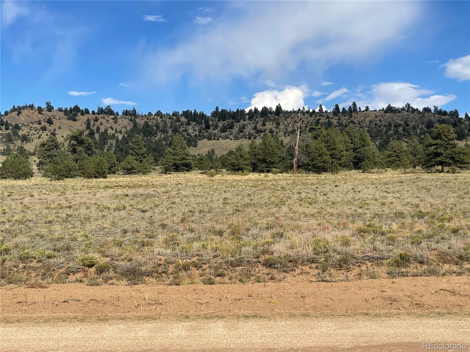 14171 Chickasaw Road Hartsel, CO 80449 - Photo 7 of 17