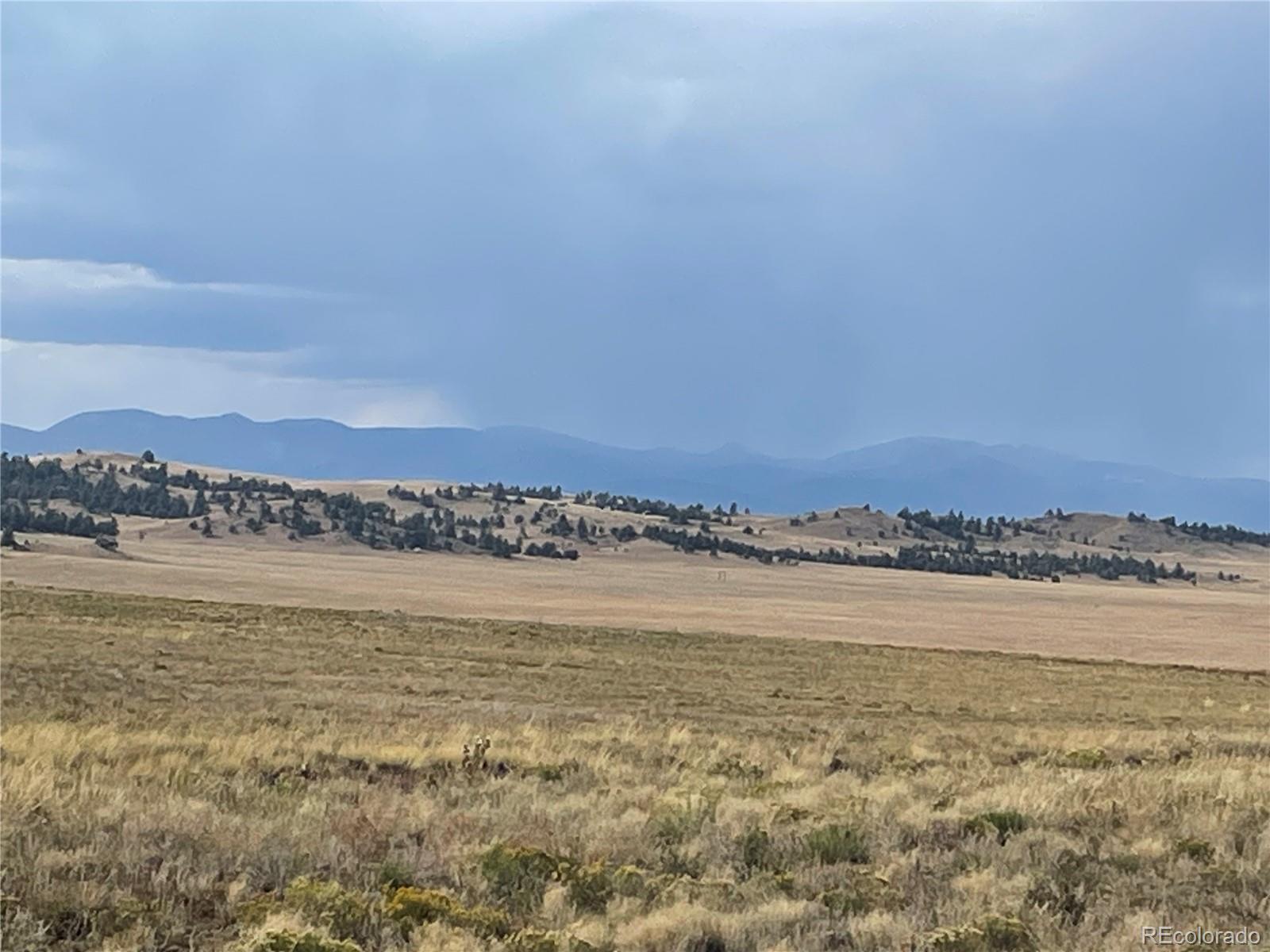 14171 Chickasaw Road Hartsel, CO 80449 - Photo 8 of 17