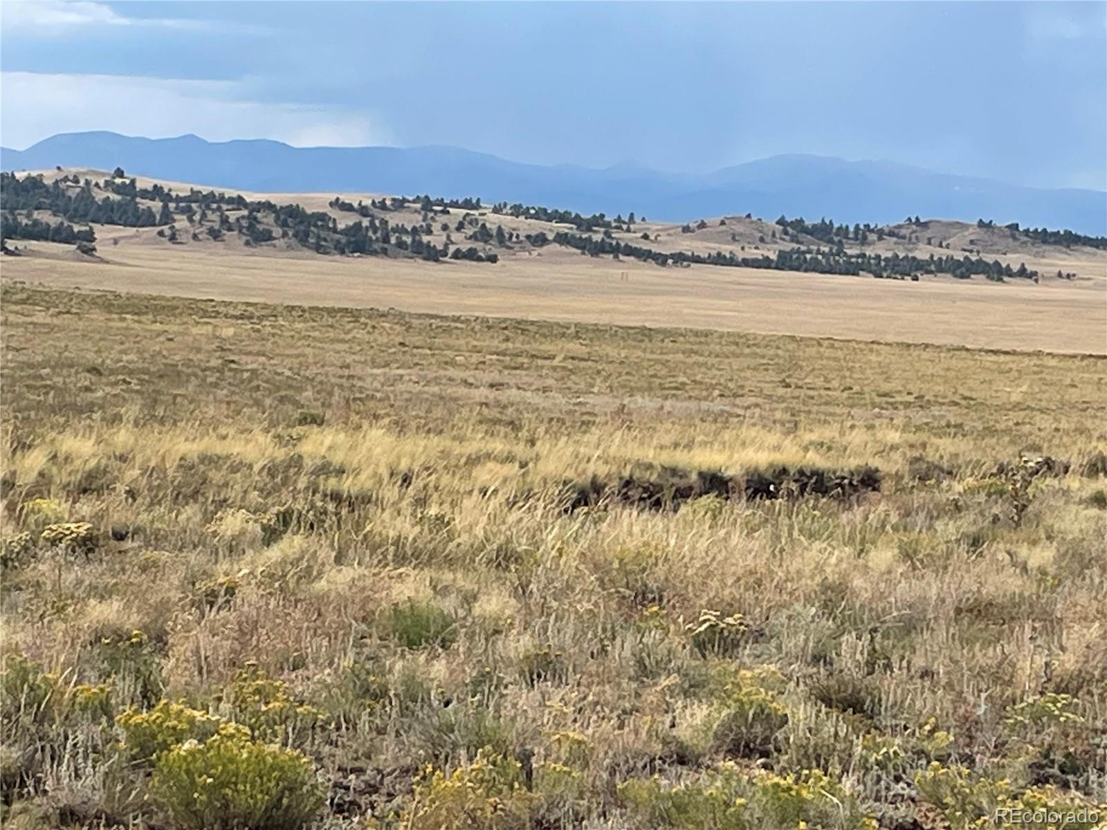 14171 Chickasaw Road Hartsel, CO 80449 - Photo 9 of 17