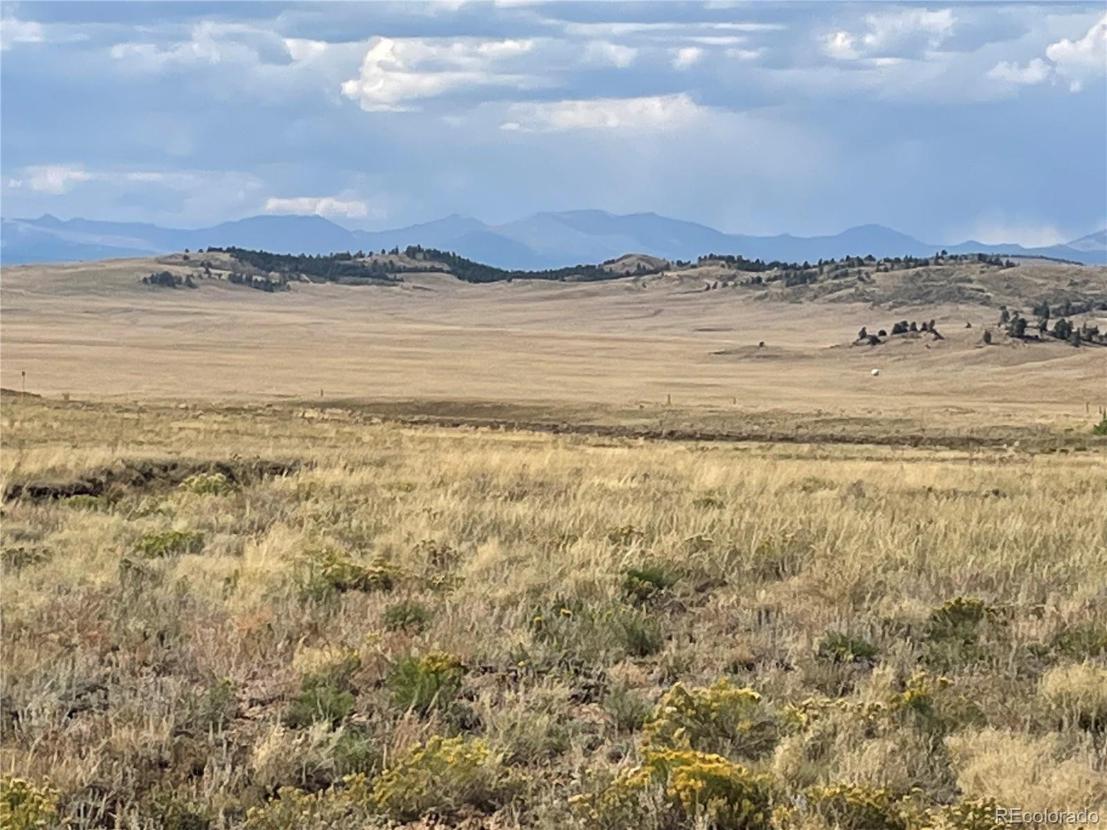 14171 Chickasaw Road Hartsel, CO 80449 - Photo 10 of 17