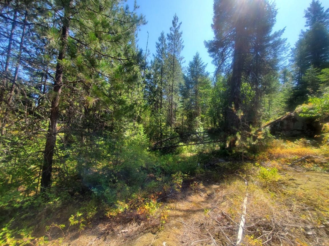 Xx Granite Road Newport, WA 99156 - Photo 14 of 16