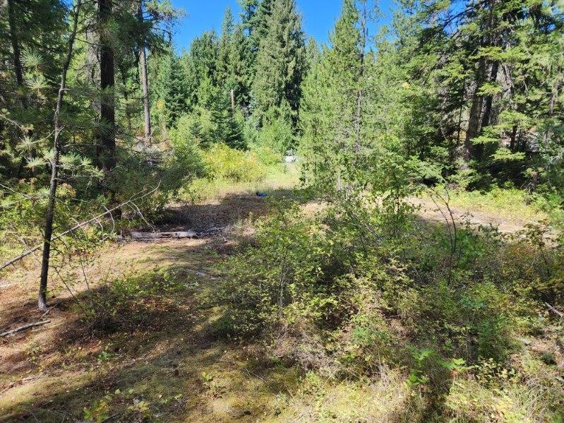 Xx Granite Road Newport, WA 99156 - Photo 15 of 16