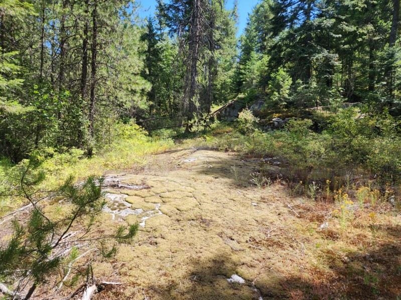Xx Granite Road Newport, WA 99156 - Photo 16 of 16