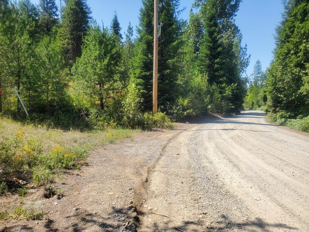 Xx Granite Road Newport, WA 99156 - Photo 10 of 16