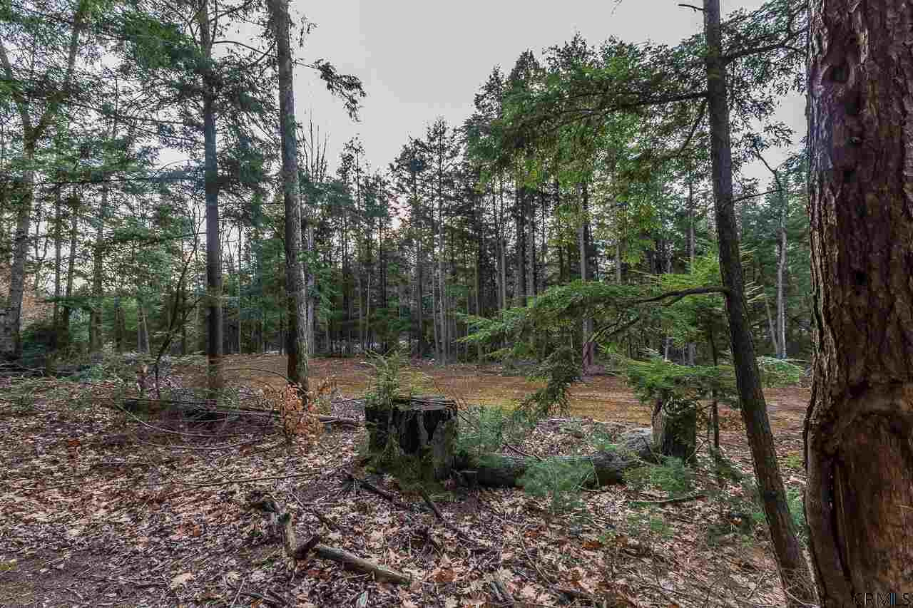 7184 Lafayette Road Middle Grove, NY 12850 - Photo 4 of 5 Photo 4