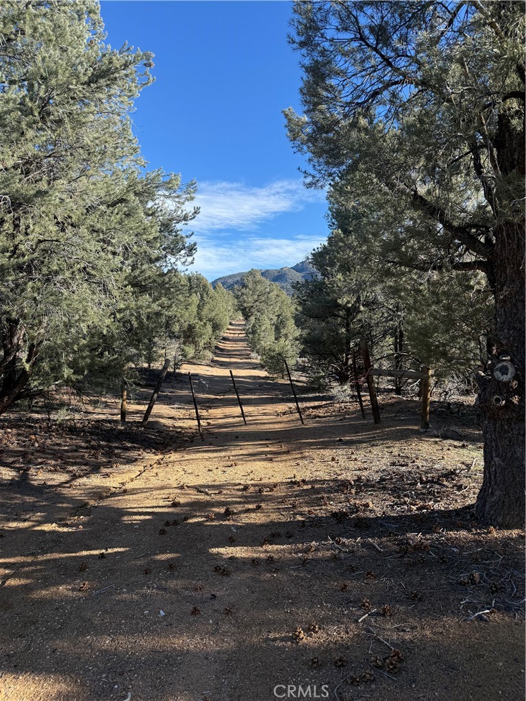 0 310-190-028 Sacatar Ranch Road Inyokern, CA 93527 - Photo 2 of 10