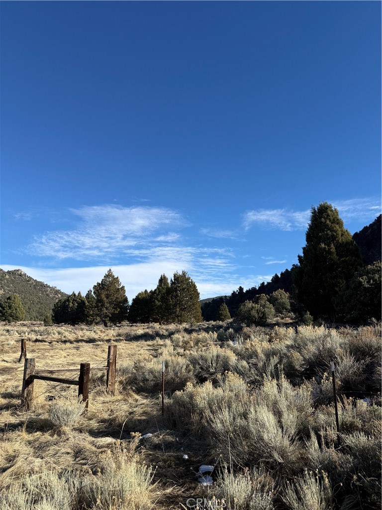 0 310-190-028 Sacatar Ranch Road Inyokern, CA 93527 - Photo 3 of 10