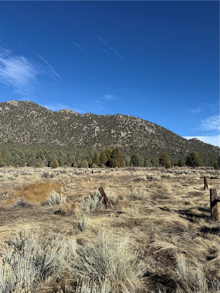 0 310-190-028 Sacatar Ranch Road Inyokern, CA 93527 - Photo 4 of 10