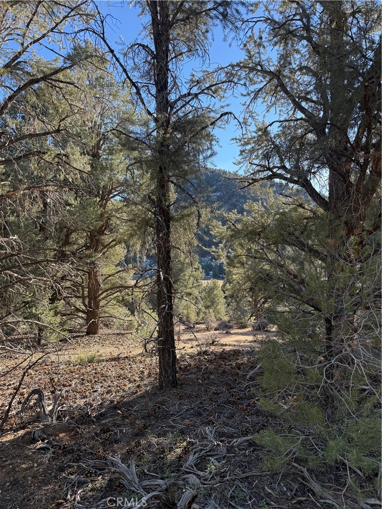 0 310-190-028 Sacatar Ranch Road Inyokern, CA 93527 - Photo 8 of 10