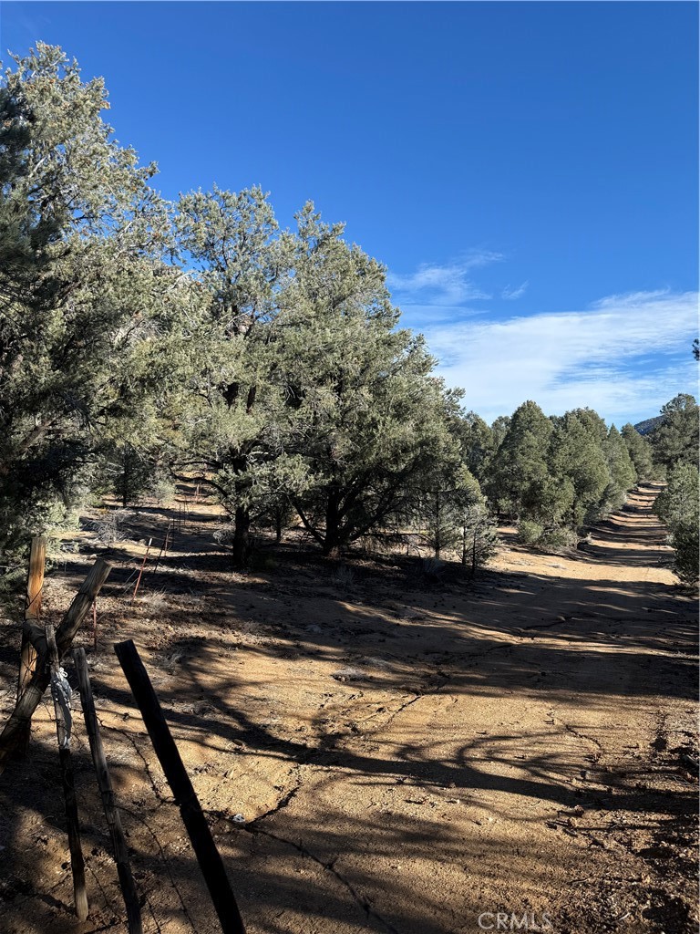 0 310-190-028 Sacatar Ranch Road Inyokern, CA 93527 - Photo 9 of 10