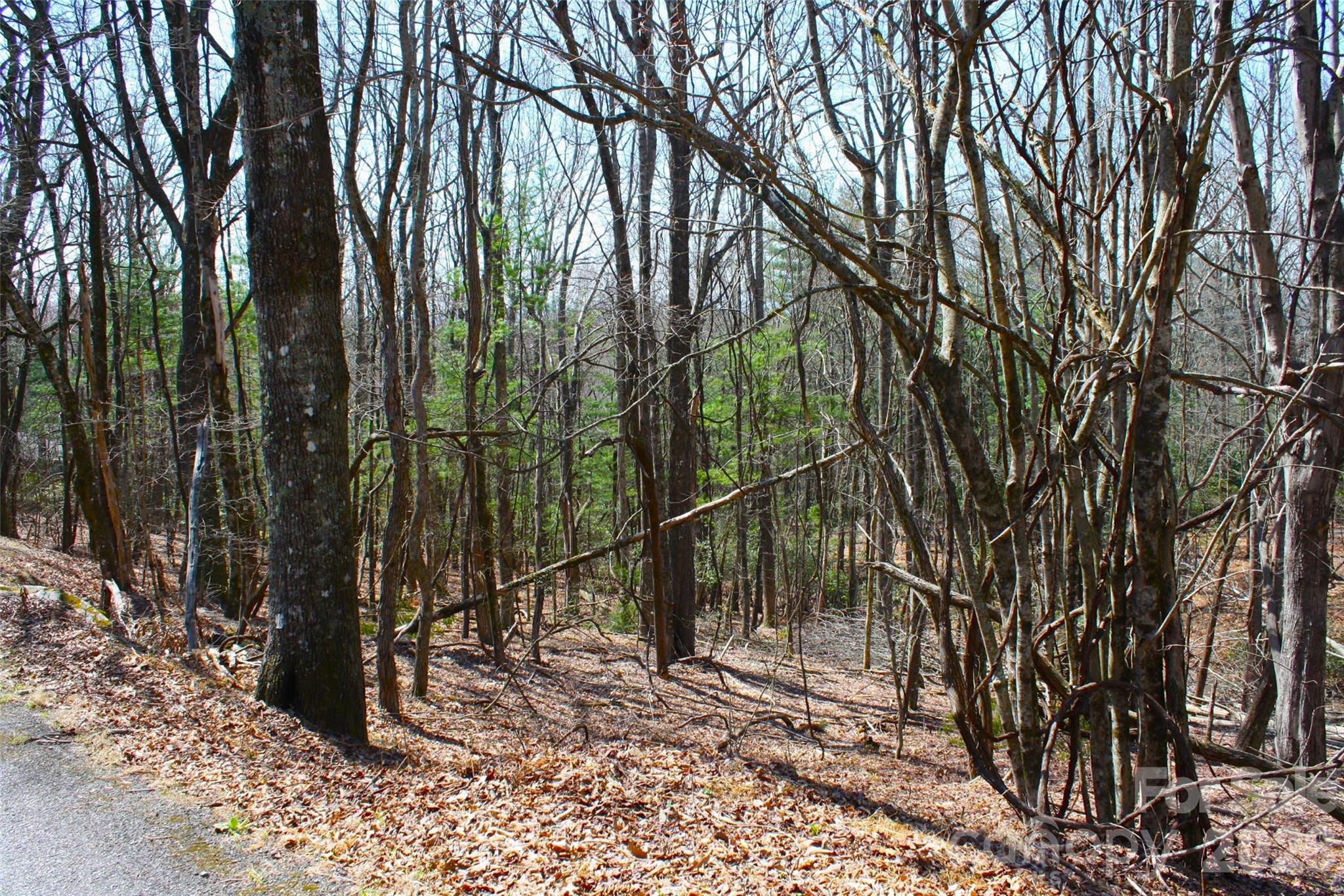 0 Slick Rock Road Brevard, NC 28712 - Photo 2 of 9