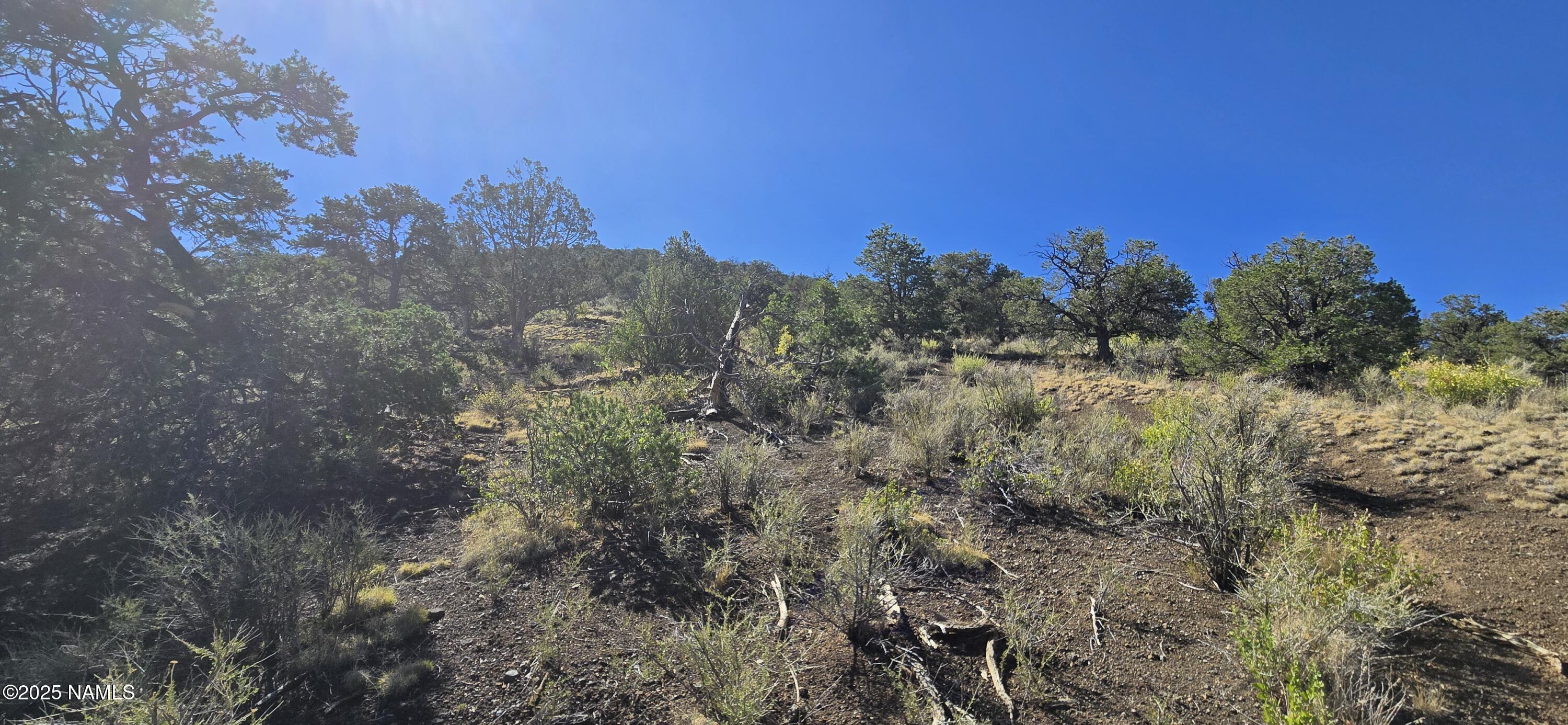 20202016 South No Name Road Williams, AZ 86046 - Photo 11 of 12 20250816_093235