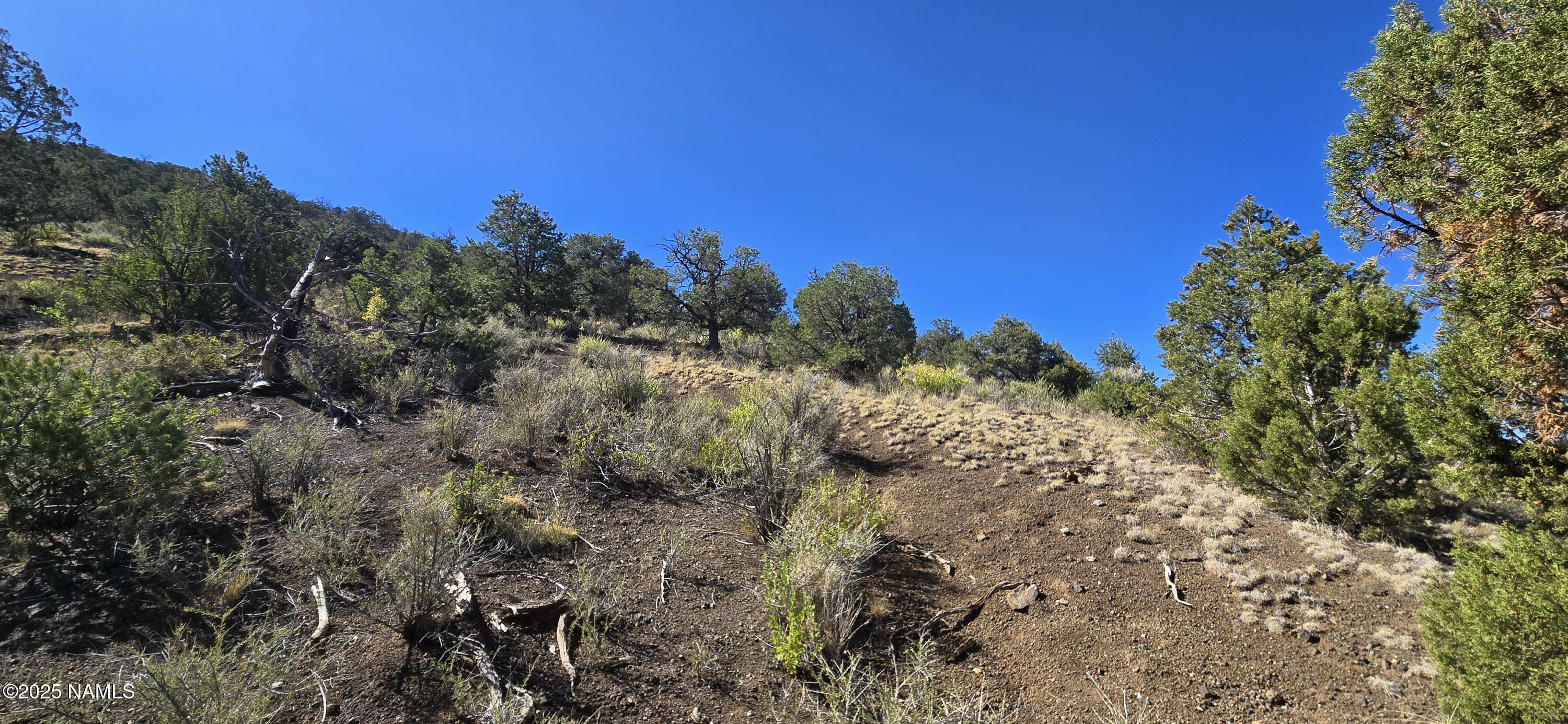 20202016 South No Name Road Williams, AZ 86046 - Photo 12 of 12 20250816_093237