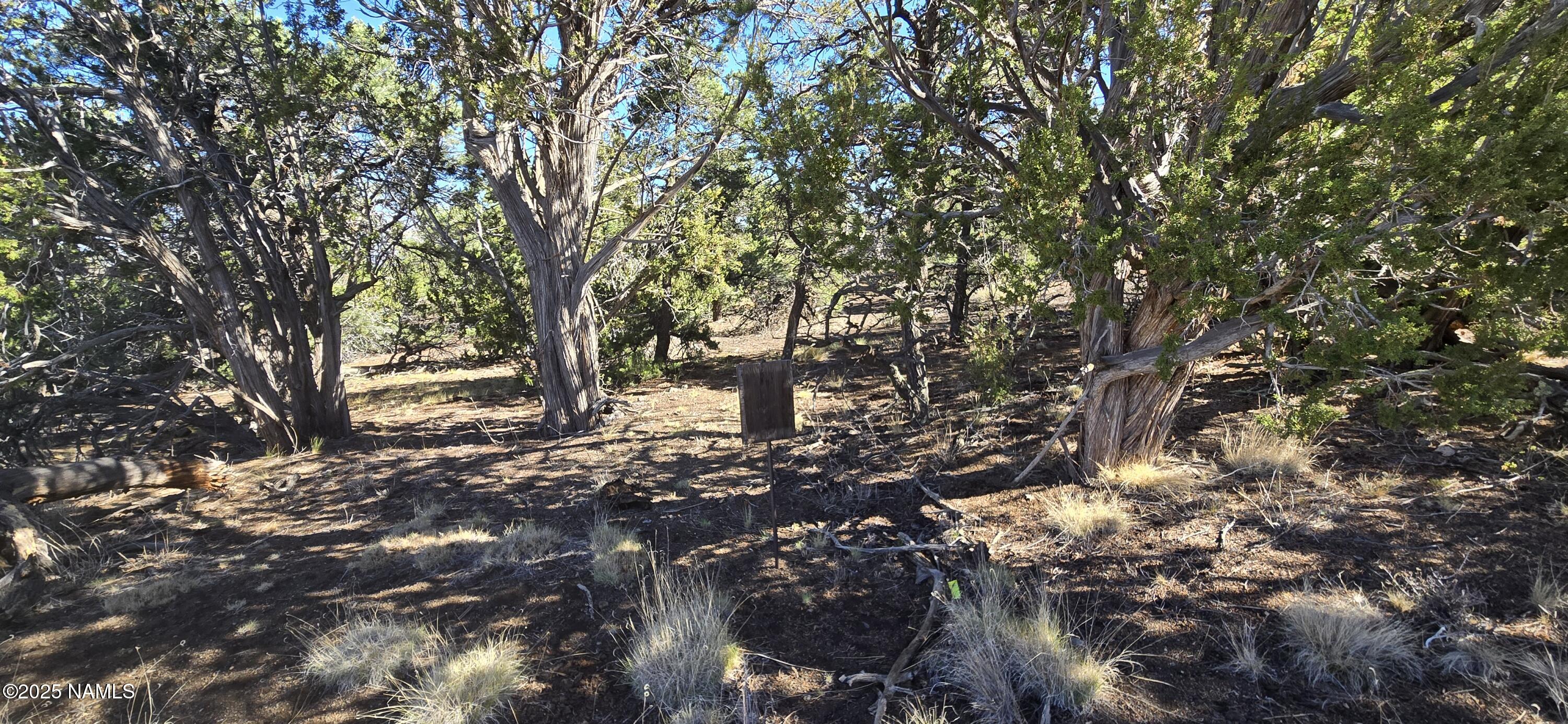 20202016 South No Name Road Williams, AZ 86046 - Photo 2 of 12 Front View