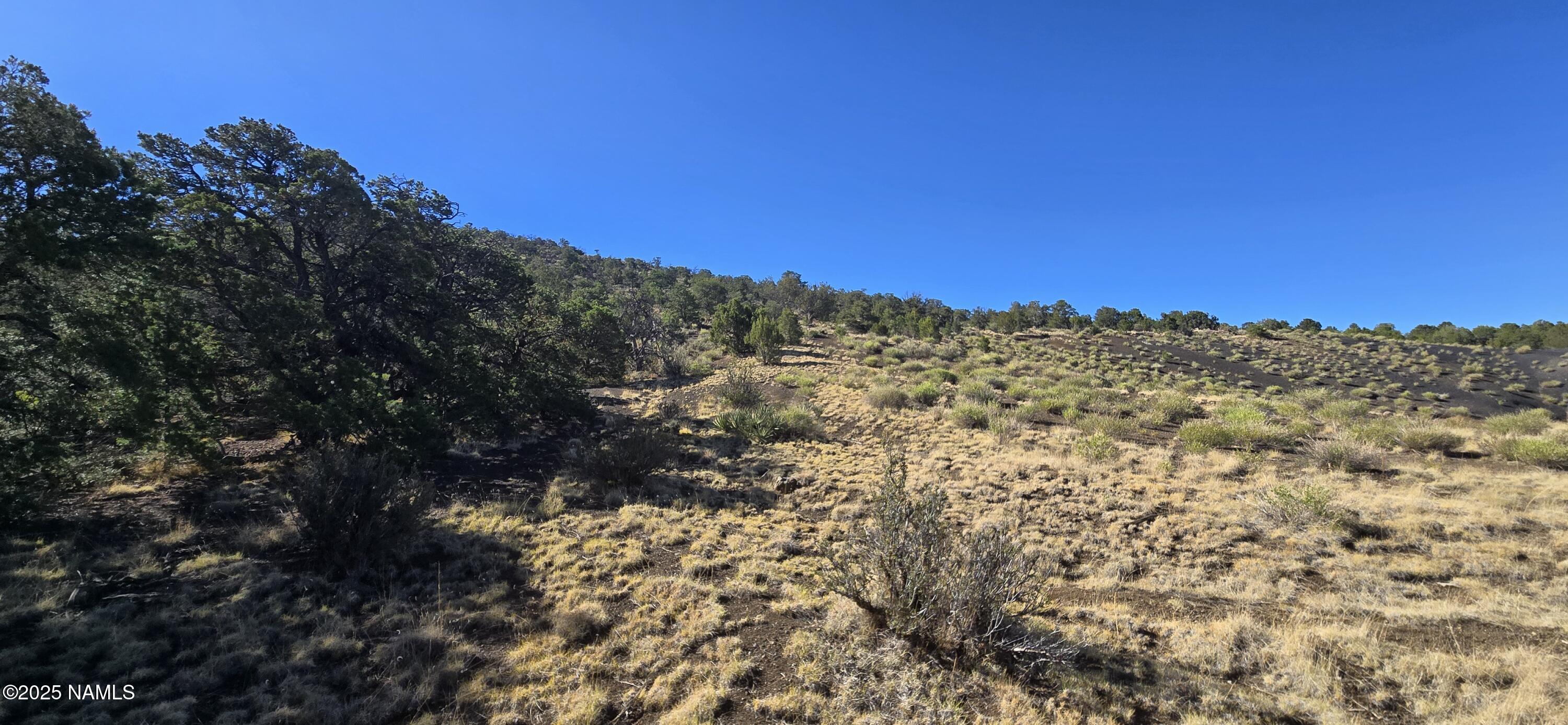 20202016 South No Name Road Williams, AZ 86046 - Photo 4 of 12 20250816_090307