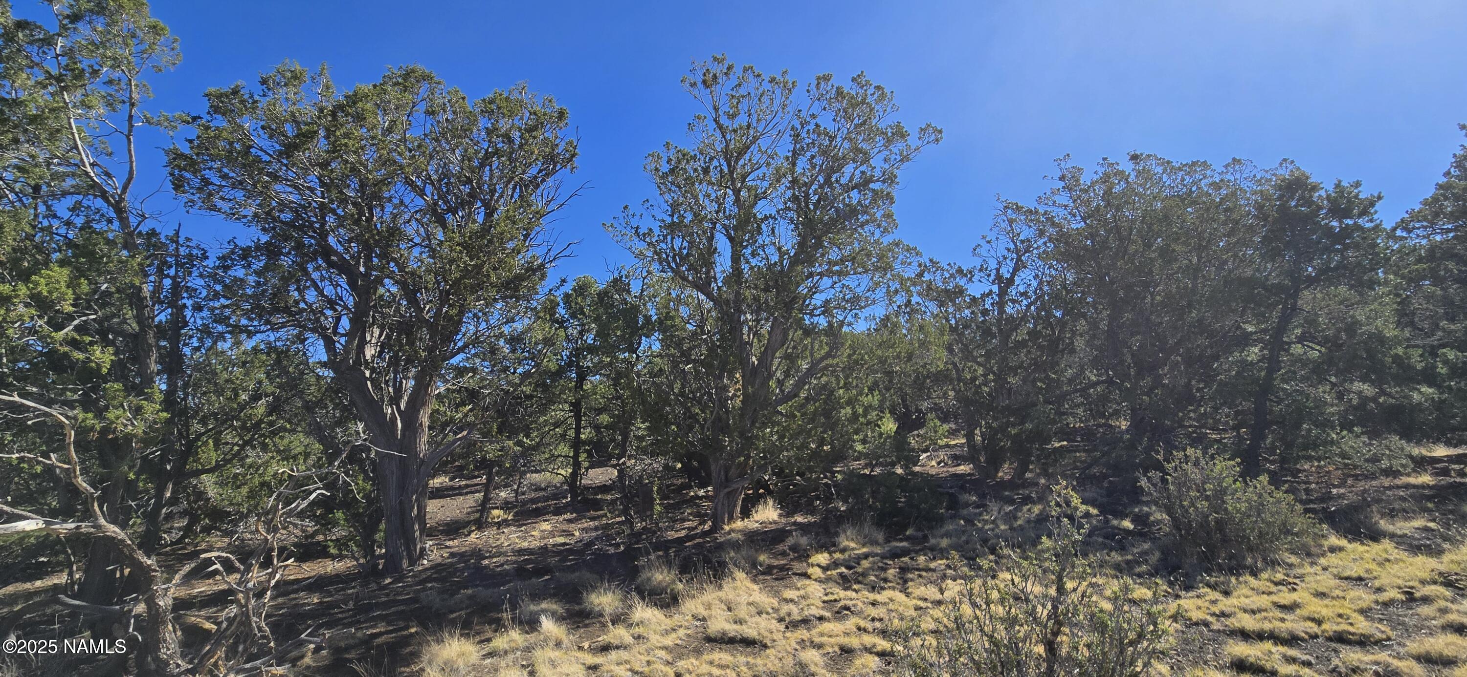 20202016 South No Name Road Williams, AZ 86046 - Photo 6 of 12 20250816_093020