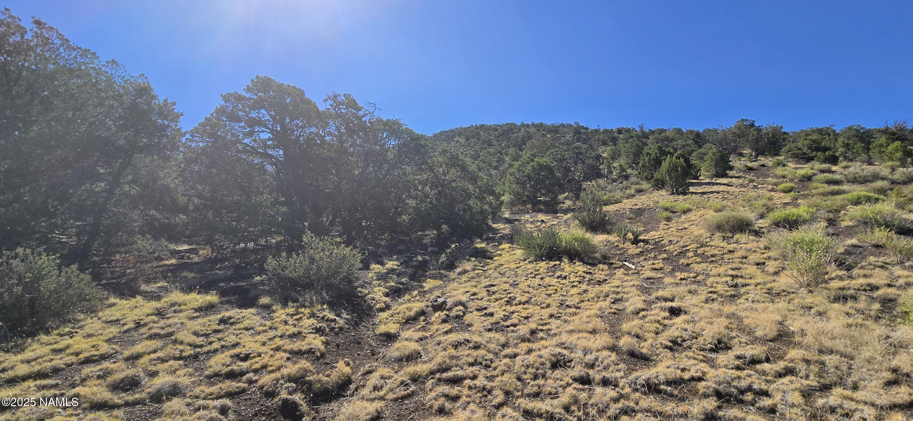 20202016 South No Name Road Williams, AZ 86046 - Photo 7 of 12 20250816_093023