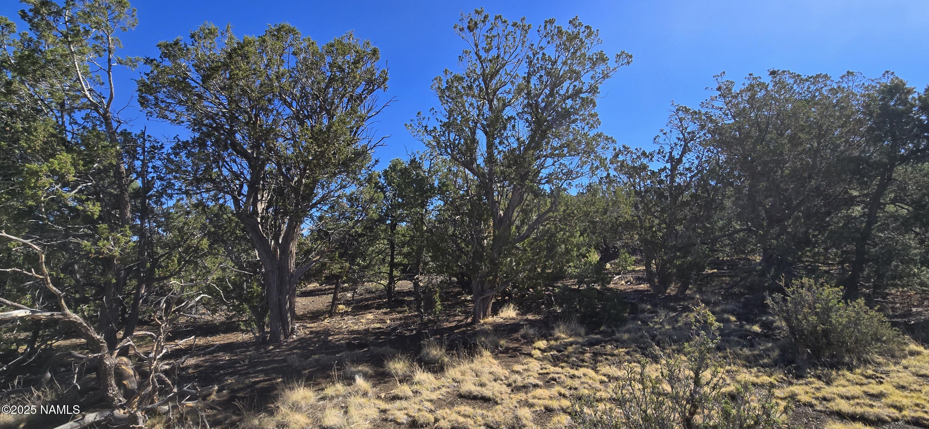 20202016 South No Name Road Williams, AZ 86046 - Photo 8 of 12 20250816_093033