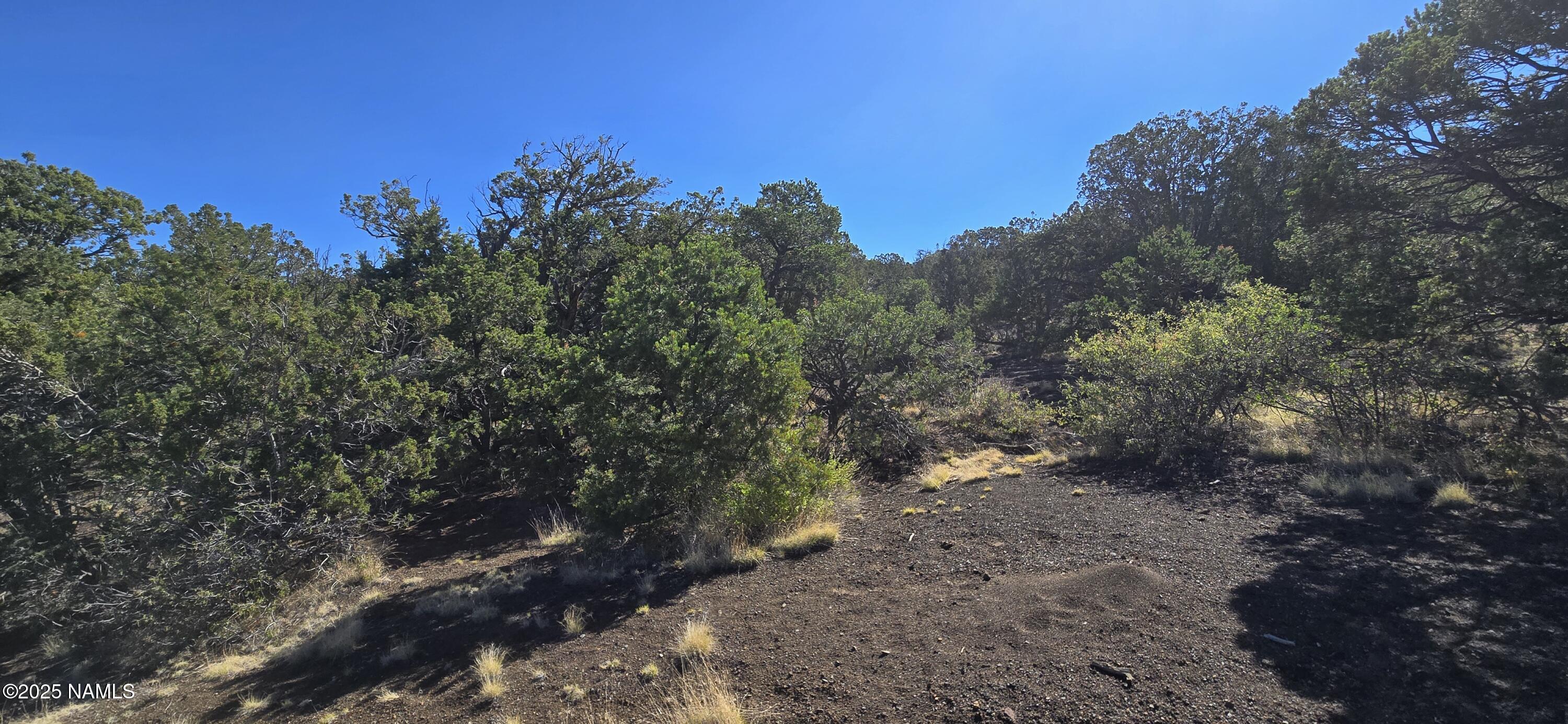 20202016 South No Name Road Williams, AZ 86046 - Photo 9 of 12 20250816_093208