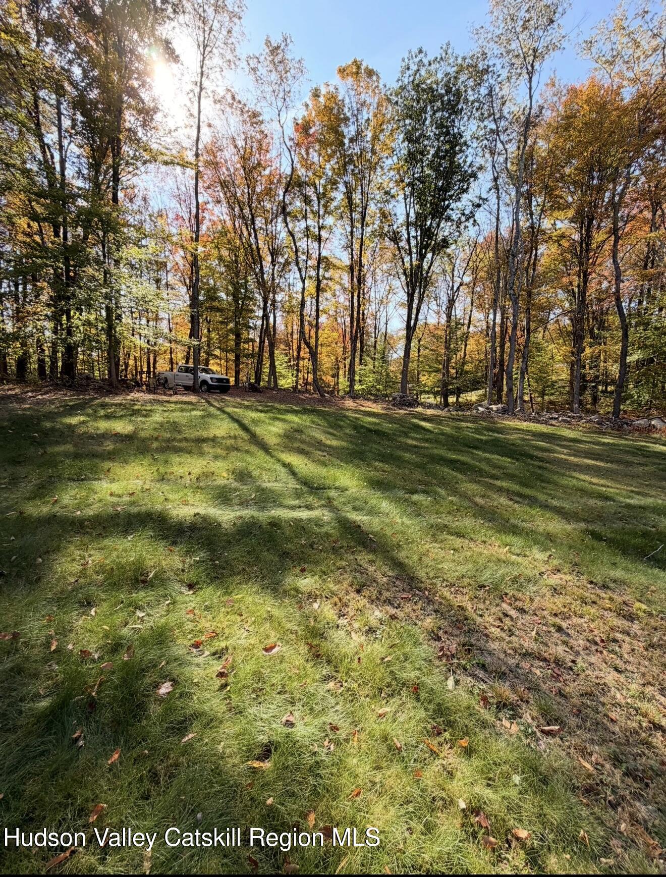 a view of a field with trees