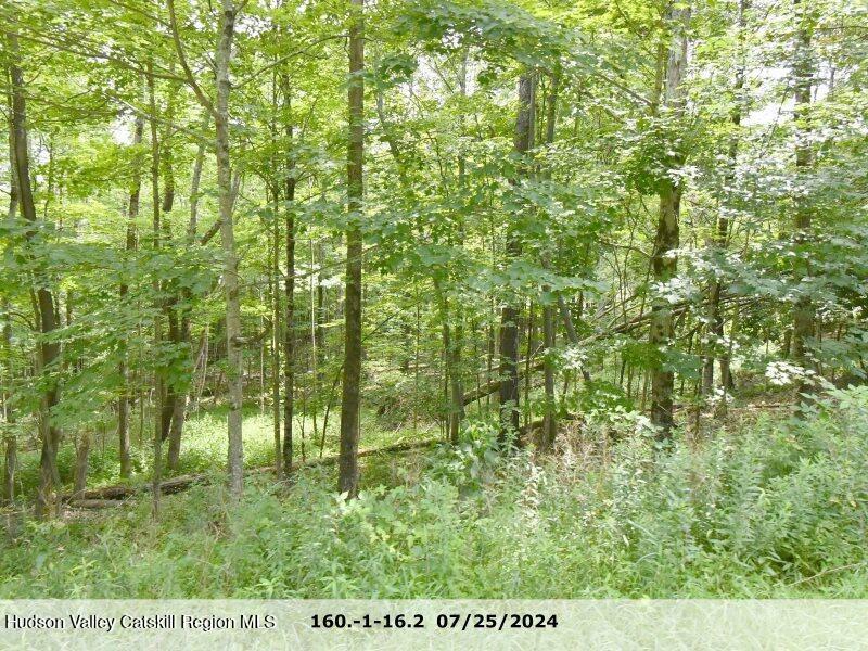 78 Bauer Road Averill Park, NY 12018 - Photo 2 of 12 a view of a yard
