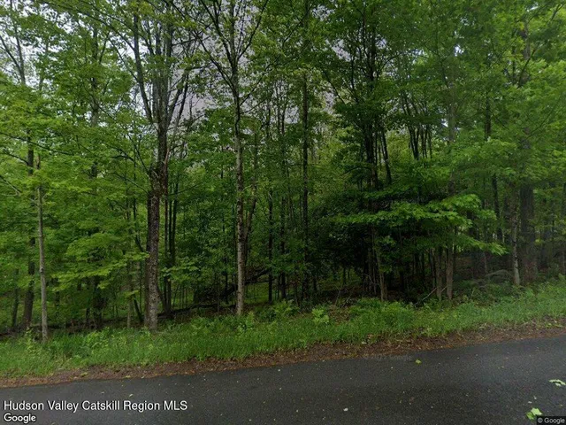 a view of backyard with green space
