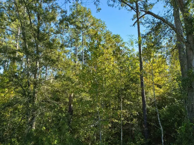 $83,000 | Johnny Road, Lamont, FL 32336