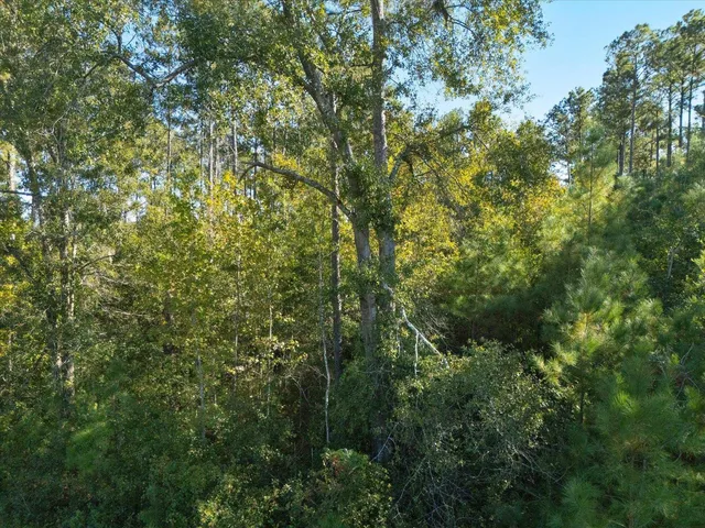 $83,000 | Johnny Road, Lamont, FL 32336